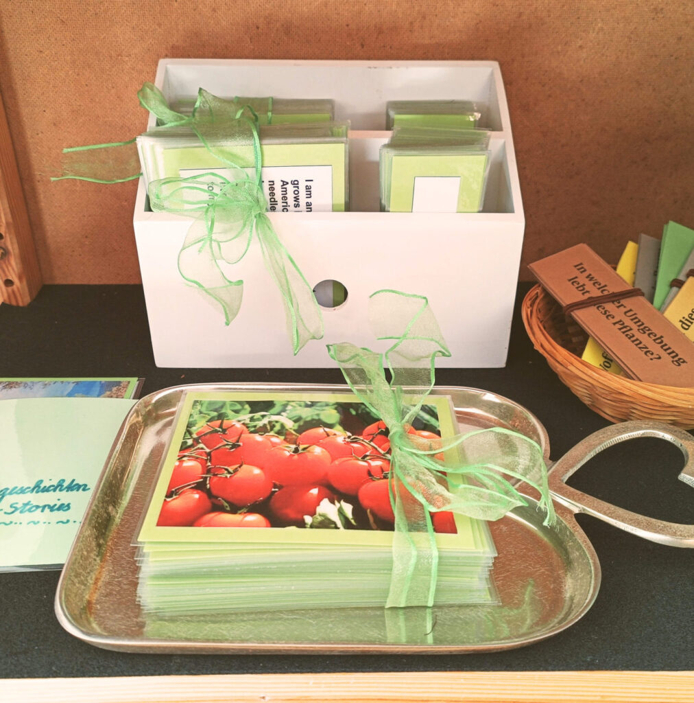 Montessori-CH_6-12-environment_2-scaled-e1744315350239