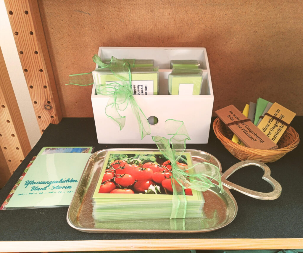 Montessori-CH_6-12-environment_2-scaled-e1744922482666